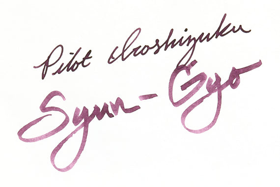 Pilot Iroshizuku Syun-gyo fountain pen ink