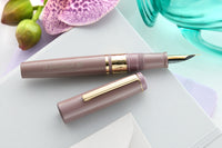 Esterbrook Model J Fountain Pen - Violet