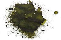 Jacques Herbin Vert Cactus - Ink Sample