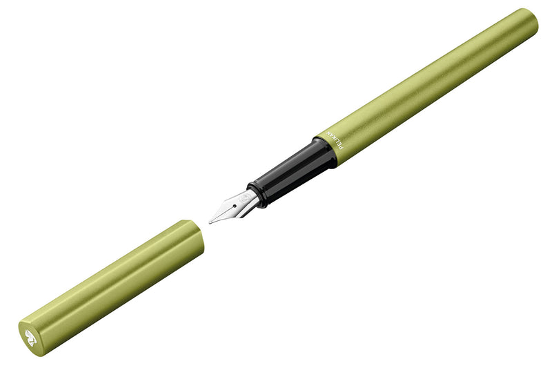 Pelikan Ineo Fountain Pen - Green Oasis