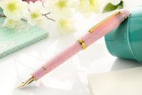 Platinum #3776 Celluloid Fountain Pen - Cherry Blossom