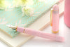 Platinum #3776 Celluloid Fountain Pen - Cherry Blossom