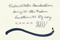 Robert Oster Thunderstorm - Ink Sample