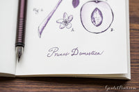 Diamine Damson - Ink Sample