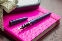 Pilot Metropolitan Fountain Pen - Violet Leopard