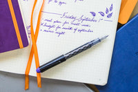 Pilot Varsity Fountain Pen - Purple, Medium