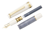 Sailor Pro Gear Slim Mini Rencontre Fountain Pen - Gris Fer