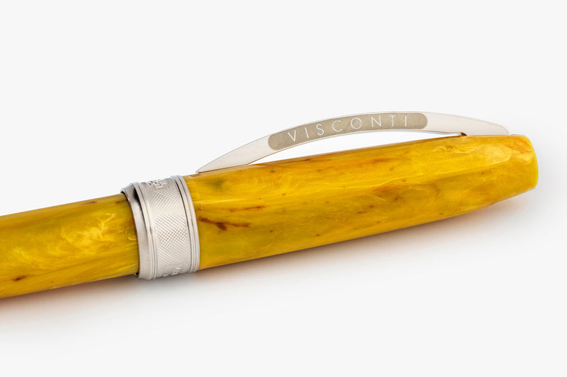 Visconti Van Gogh Fountain Pen - Sunflowers