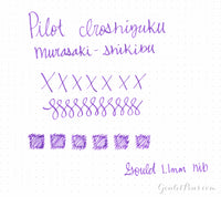 Pilot Iroshizuku Murasaki-shikibu - Ink Sample